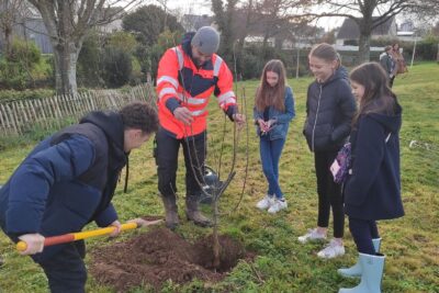 Agrandir l'image 1 sur 7, fenêtre modale