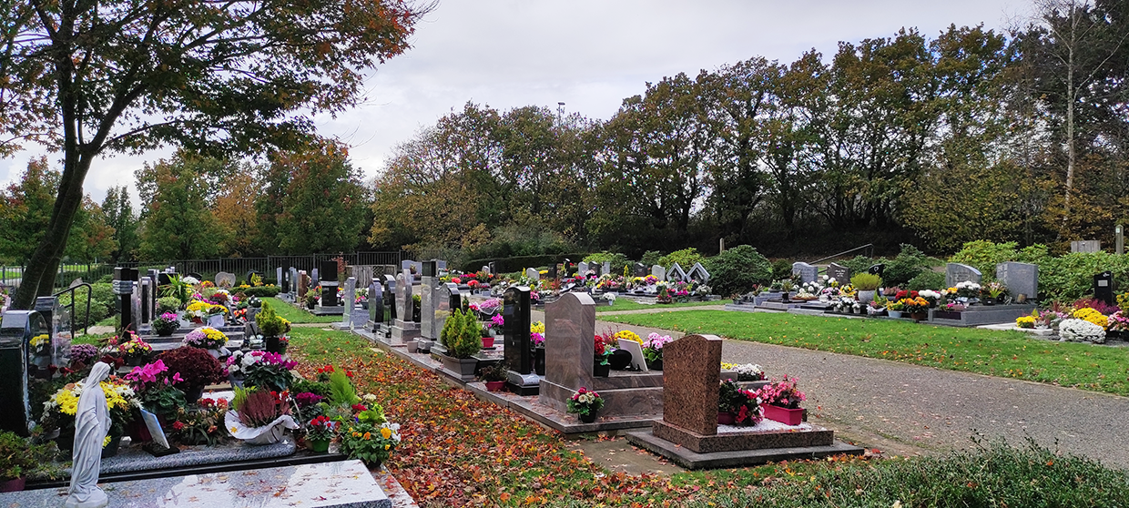 Tombes fleuries au sein d'un cimetière (celui de Lavallot, à Guipavas). Il fait gris. Des arbres bordent le cimetière.