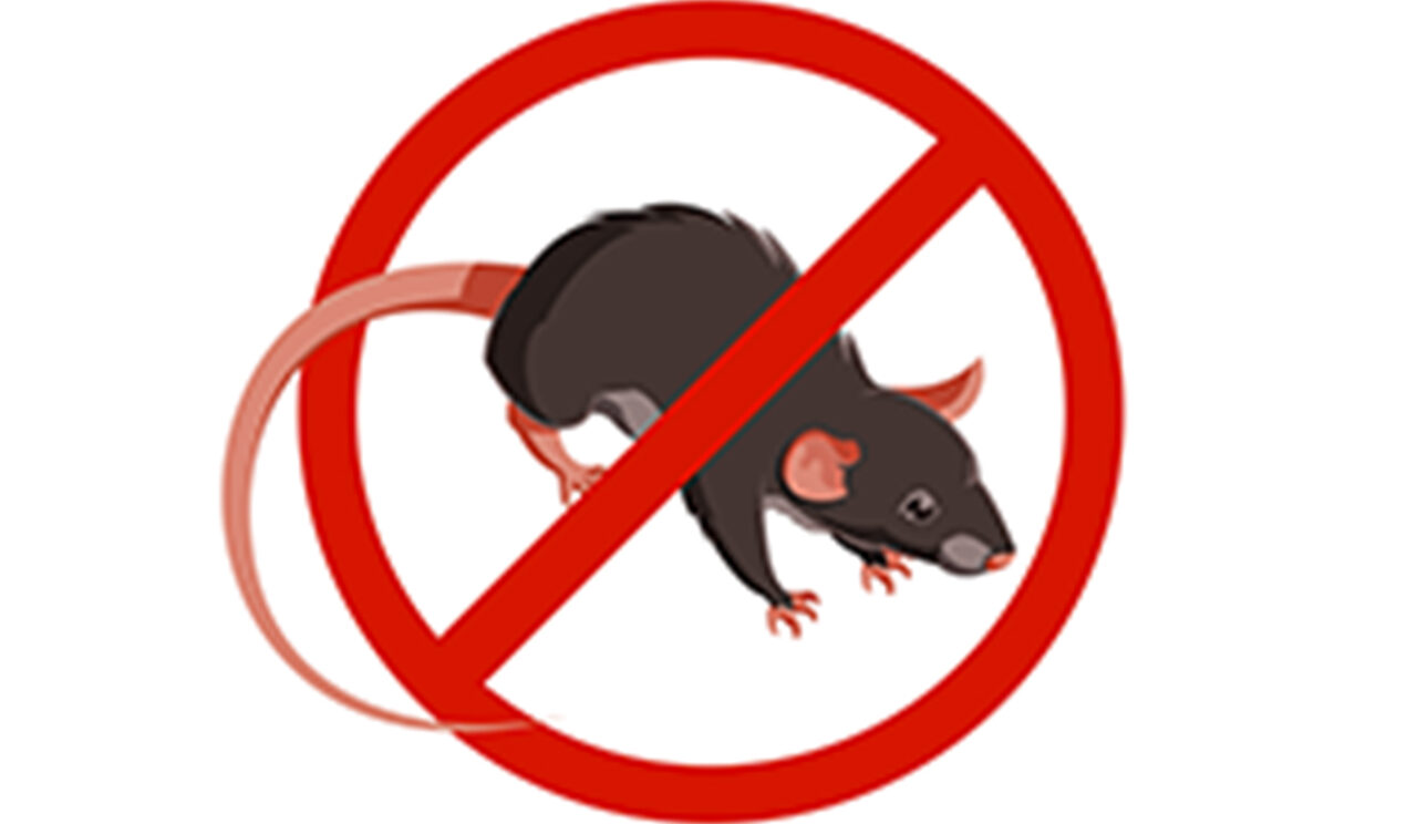 dessin d'un panneau barré représentant un dessin de rat