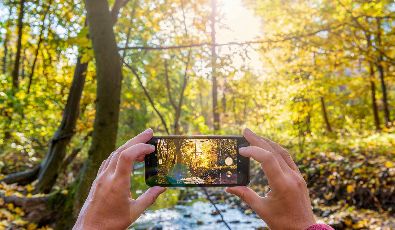 Les mains d'une personne tiennent un smartphone en mode photo et shootent la nature environnante