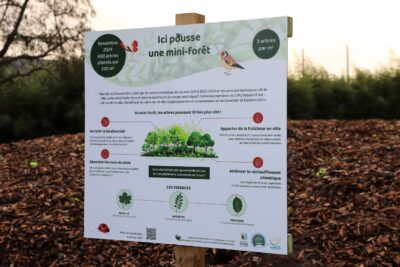 Agrandir l'image 2 sur 3, fenêtre modale