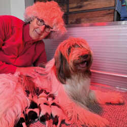 Photo de Sandrine Lannuzel, guipavasienne et éleveuse de chiens en compagnie d’une femelle de race Schapendoes et de 4 chiots