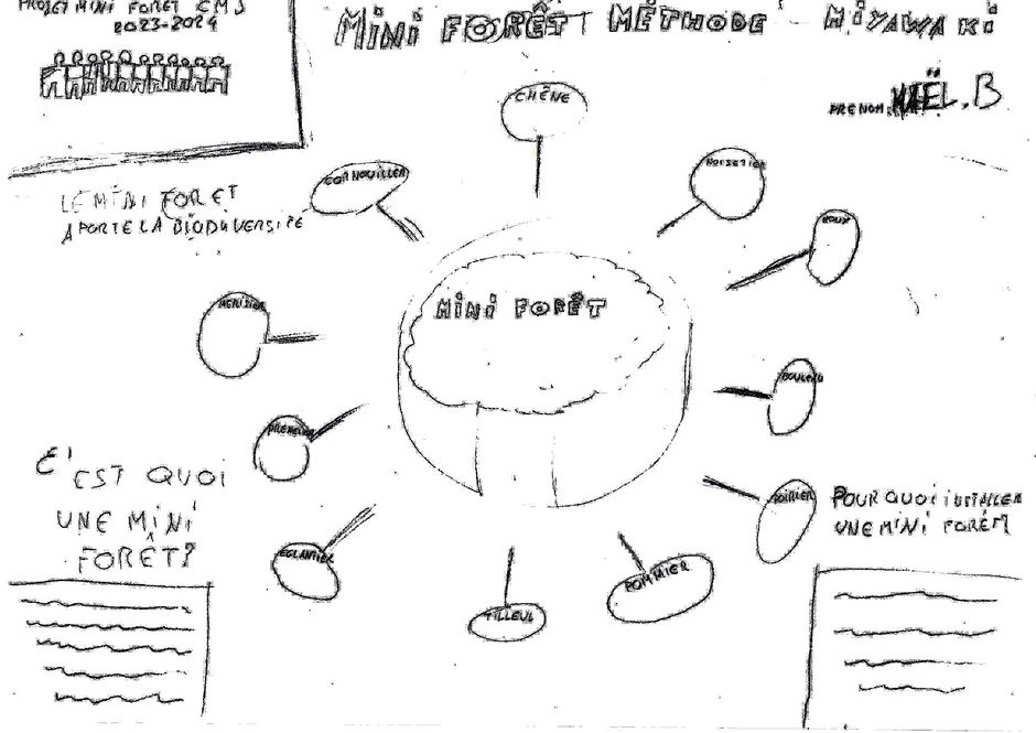 Agrandir l'image, . 0octets (fenêtre modale)